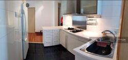 Cairnhill Crest (D9), Condominium #520264071